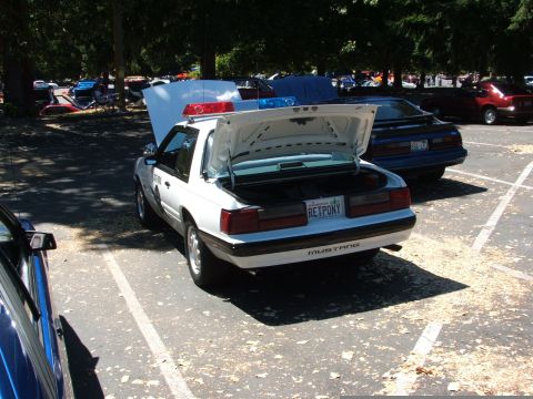 1987 Ford Mustang - A white police car with its trunk and hood open is parked in a lot, with other vehicles visible in the background.