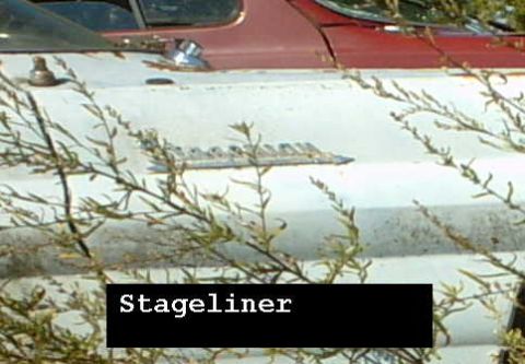 1962 Pontiac Starchief - A chrome emblem on the side of a car reads 'Starchief'.