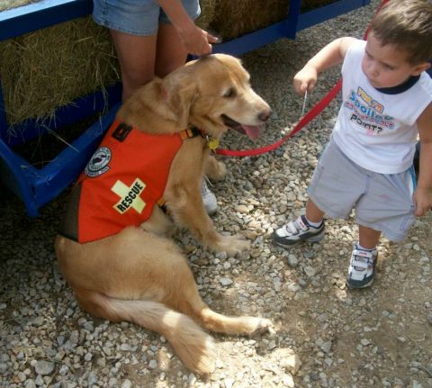 1993 Ford Bronco - Search and rescue dog with kids