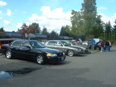 2000 Ford Crown Victoria - Several Ford Crown Victorias are parked in a lot on a cloudy day.