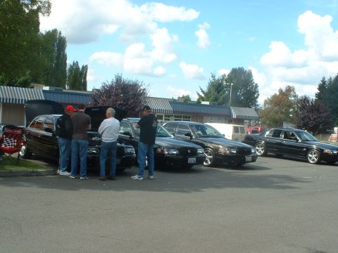 2000 Ford Crown Victoria - Several Ford Crown Victorias are gathered, with two having their hoods open for viewing.