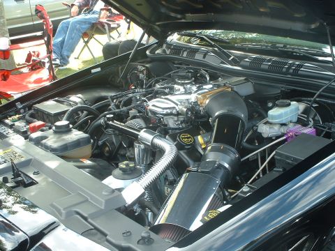 2000 Ford Crown Victoria - The engine bay of a black 2000 Ford Crown Victoria is visible with an aftermarket air intake and chrome detailing.