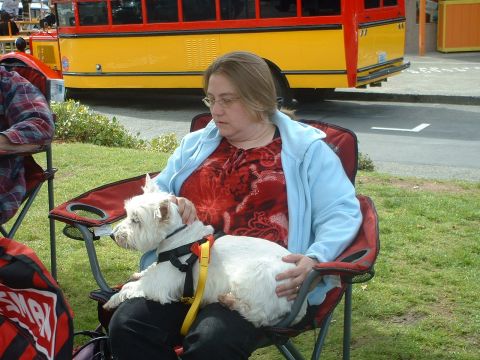 2000 Ford Crown Victoria - Woman and dog relax outdoors with a colorful bus in the background.