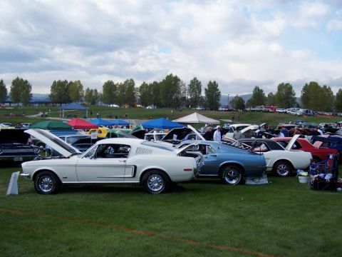 1972 Ford Ranchero - Multiple classic cars are displayed on a grassy field under a cloudy sky at an outdoor event.