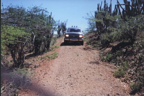 1990 Ford Bronco - Ford Bronco navigates a dusty, off-road path surrounded by arid vegetation under a clear blue sky.