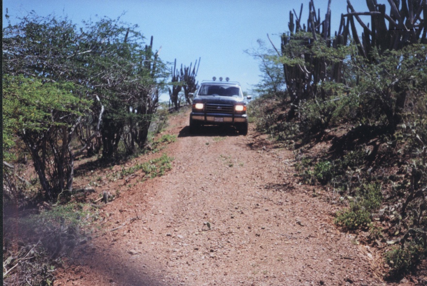 Front view of a light-colored SUV on a rocky desert trail with cacti