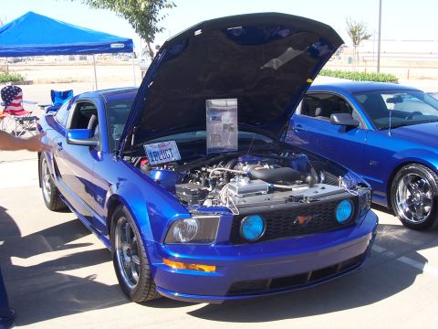 2002 Ford Mustang “02 Zinc Yellow GT”