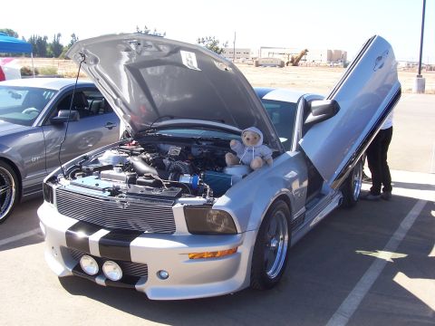 2002 Ford Mustang “02 Zinc Yellow GT”