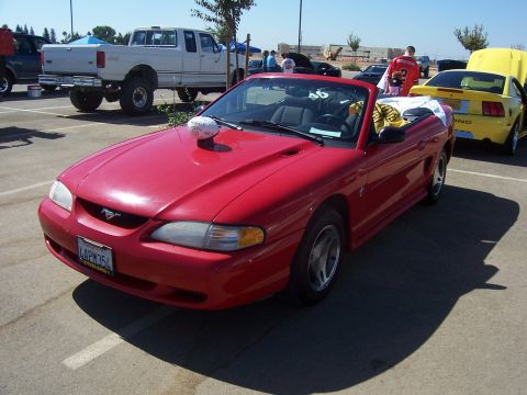 2002 Ford Mustang “02 Zinc Yellow GT”