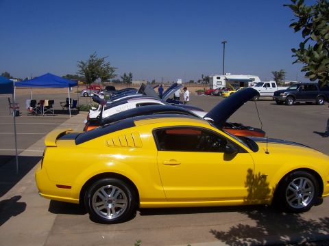 2002 Ford Mustang “02 Zinc Yellow GT”