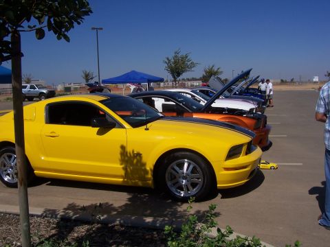 2002 Ford Mustang “02 Zinc Yellow GT”