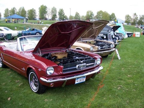 1972 Ford Ranchero - A line of classic cars, including a red convertible, are displayed on a grassy field at an outdoor event.