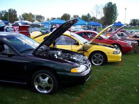 1972 Ford Ranchero - Several cars with hoods open are displayed on a grassy field under blue tents.