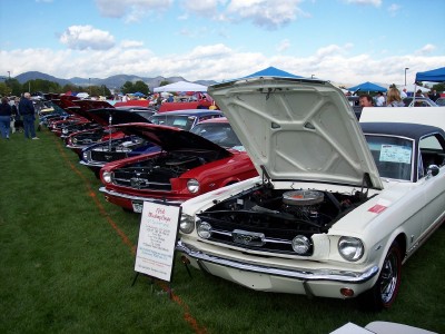 1972 Ford Ranchero - A line of classic Ford Mustangs are displayed with their hoods open at an outdoor car show.
