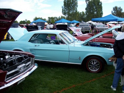 1972 Ford Ranchero - A light blue 1967 Ford Mustang coupe is displayed with its hood open at a car show.