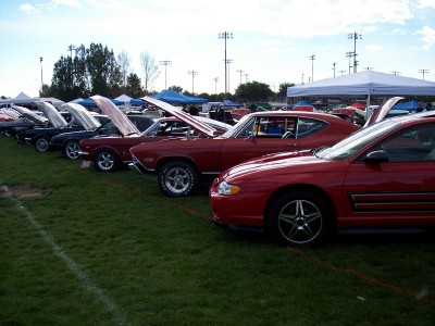 1972 Ford Ranchero - A variety of vehicles are displayed on a grassy field under a partly cloudy sky.