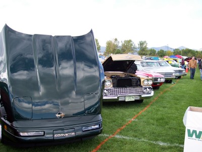 1972 Ford Ranchero - Several cars are lined up on a grassy field at an outdoor event.