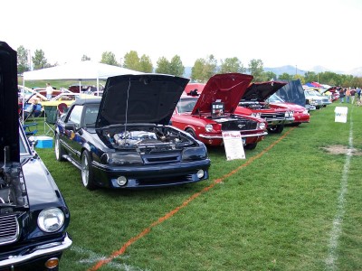 1972 Ford Ranchero - Several cars are lined up on a grassy field with their hoods open, displaying their engines at an outdoor car show.