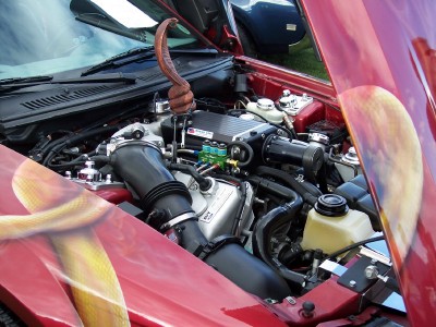 1972 Ford Ranchero - Engine bay details with a unique wooden snake figurine as a hood ornament.