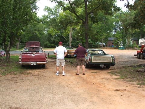 1966 Ford Ranchero - Two Ford Rancheros, one red and one green, are parked outdoors with their hoods open.