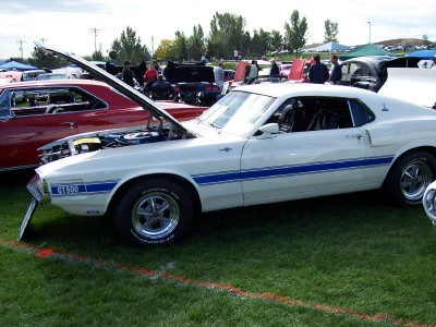 1972 Ford Ranchero - White 1969 Ford Mustang GT500 with blue side stripes and hood open at an outdoor car show.