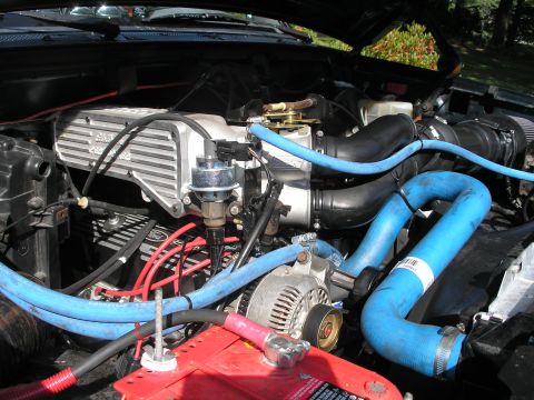1994 Ford Bronco - Close-up view of a modified engine bay, prominent blue hoses and an aluminum intake manifold.