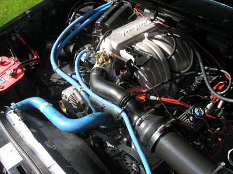 1994 Ford Bronco - Close-up view of an engine bay, showing various components and blue hoses.