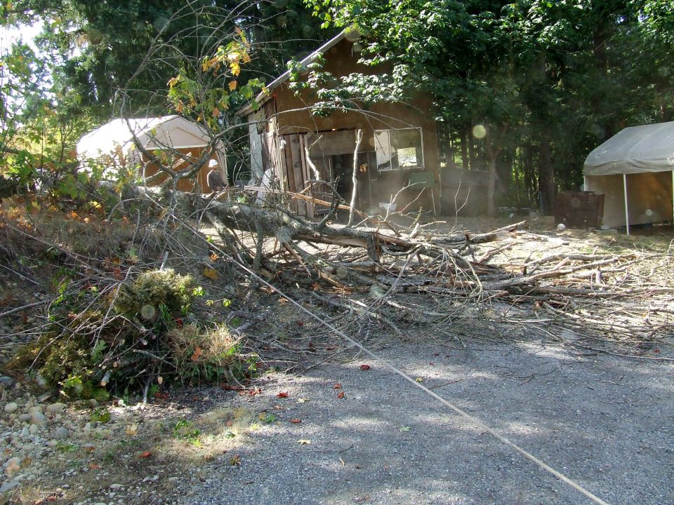 Fallen tree branches and debris cover the ground in front of a small, weathered building with a tarp shelter to the right