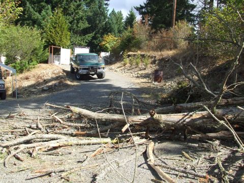 1977 Ford F-150 - A green pickup truck navigates a driveway obstructed by a large amount of fallen trees and branches.