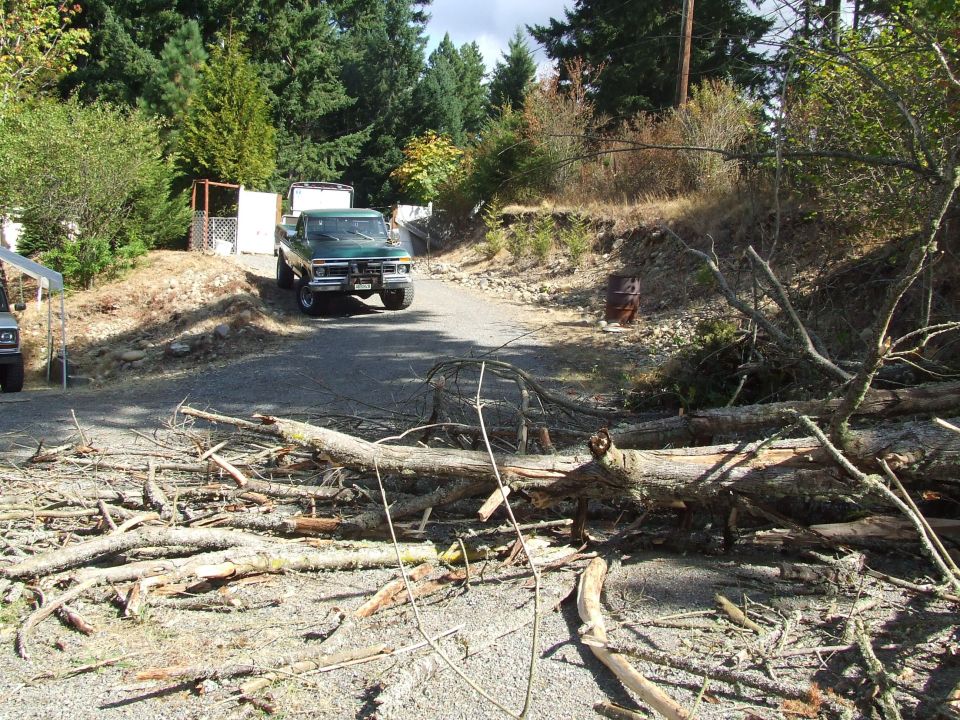Green pickup truck on a gravel driveway blocked by fallen trees. Another vehicle is partially visible to the left