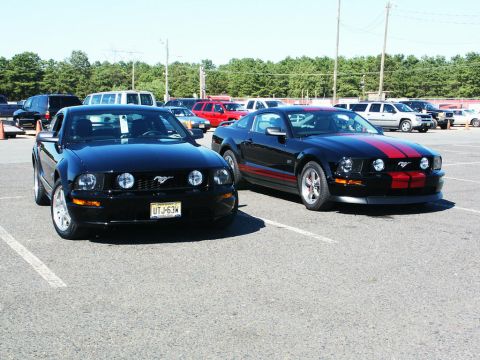 2001 Mercury Grand Marquis - Two black Ford Mustangs are parked side-by-side in an outdoor lot, with one prominent red racing stripes.