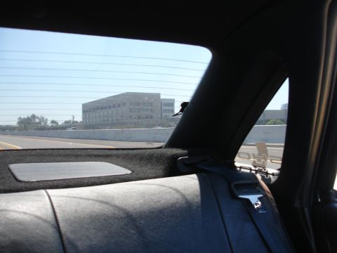 1992 Ford Taurus - Looking out the rear window of a car at a highway and a large building in the distance.