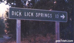 1988 Ford Bronco - A green road sign indicates the direction and distance to Dick Lick Springs.
