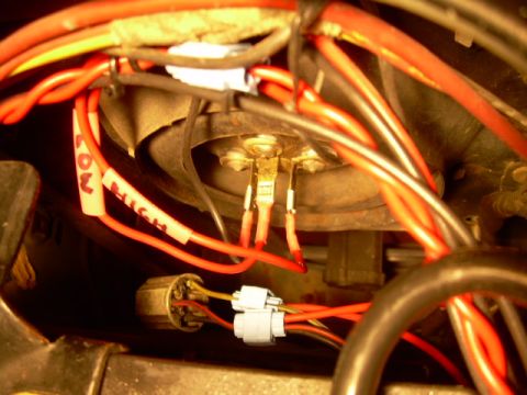 1984 Ford Bronco - A close-up view of a vehicle's headlight wiring harness shows various colored wires and connectors.