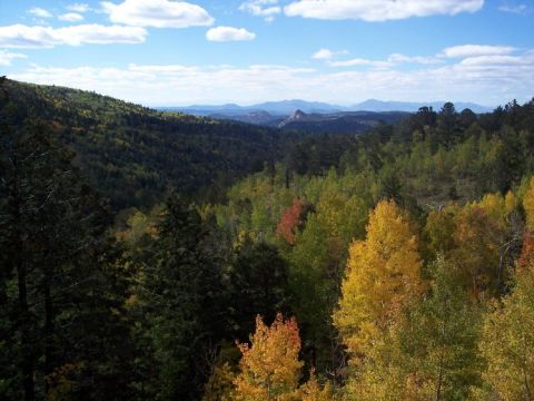 1972 Ford Ranchero - A scenic view of a forest valley during autumn, with hills and mountains in the distance.