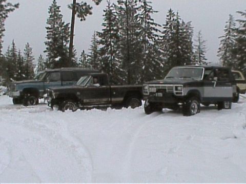 1985 Ford Bronco - Nice parking lot!