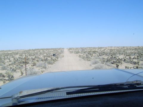 1990 Ford Bronco photo