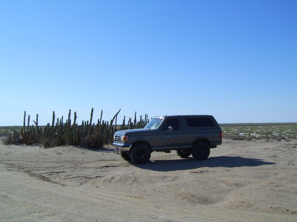 1990 Ford Bronco parked on sandy ground with cacti and flat horizon
