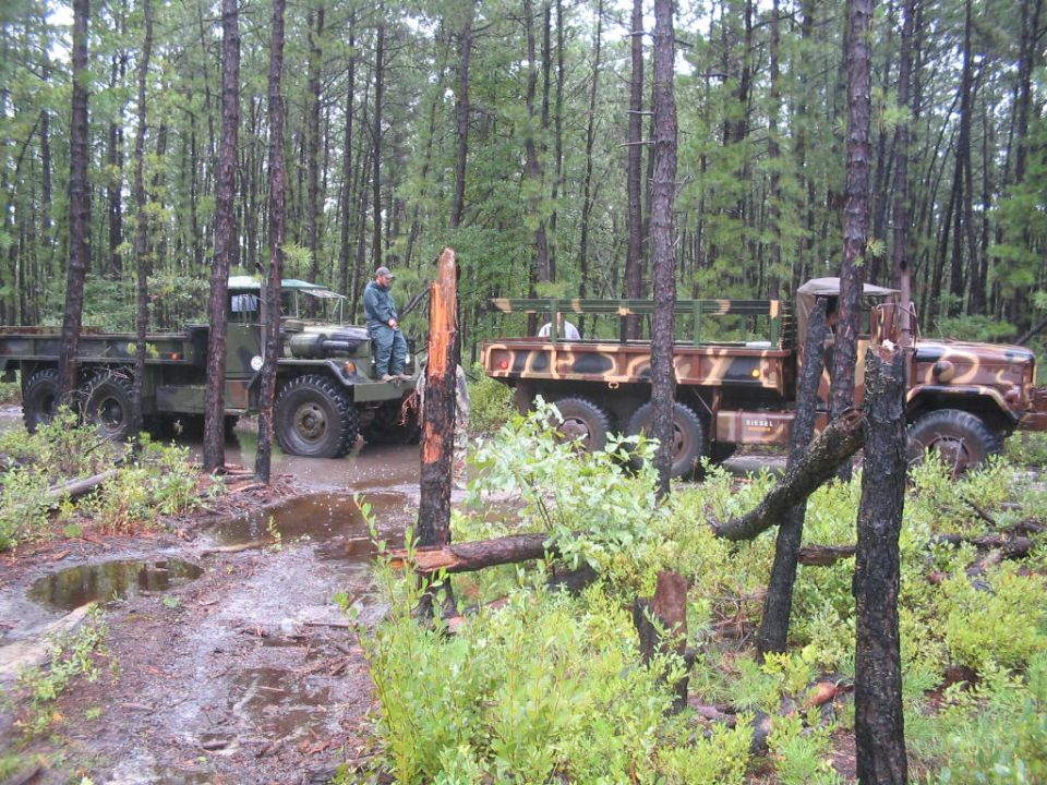Two military trucks, one green and one camouflage, parked in a muddy forest