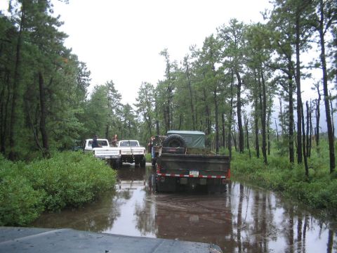 1990 Ford Bronco - Several trucks drive through a flooded, wooded path, with one truck carrying a spare tire and a green tarp.