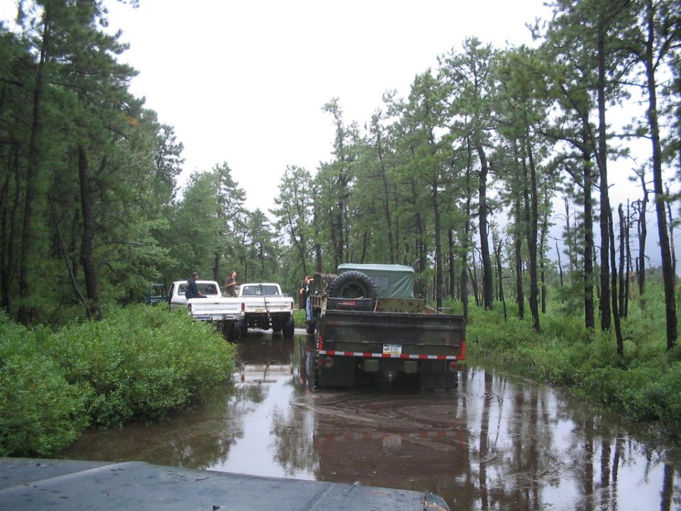 Multiple trucks navigate a muddy forest road, one with a spare tire on its bed