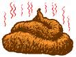 1995 Ford Bronco - A steaming pile of feces is depicted in this image.