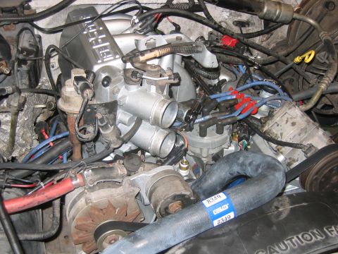 1992 Ford Bronco - Overhead view of a Ford V8 engine bay showing the intake manifold, upper plenum, blue spark plug wires with red boot ends, alternator, serp…