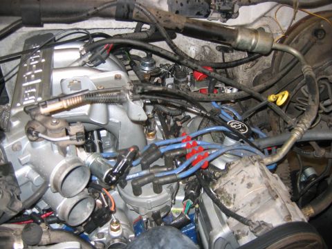 1992 Ford Bronco - Close-up of a Ford V8 engine bay showing the intake manifold, distributor, and blue aftermarket spark plug wires with red boots. Various va…