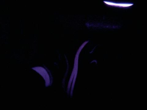 1985 Ford Crown Victoria LTD - The interior of a vehicle is dimly lit by purple accent lights.