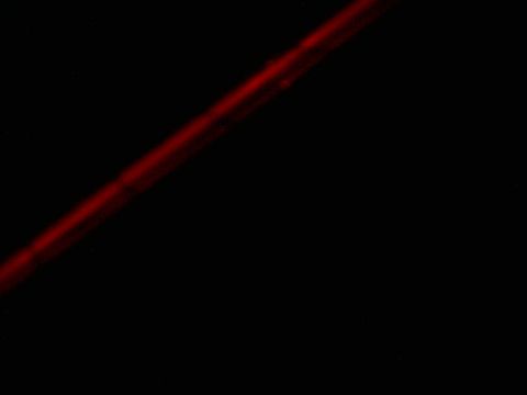 1985 Ford Crown Victoria LTD - Abstract image with a red line and a website watermark.
