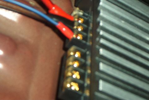 2001 Ford Taurus - Amp is pluged in and powered up.