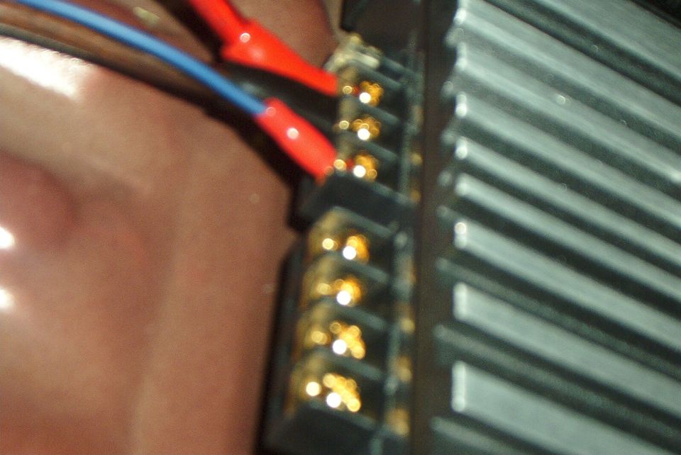 Amp is pluged in and powered up.