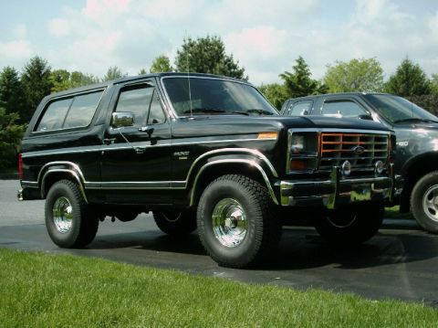 1984 Ford Bronco - A black 1980s Ford Bronco is parked on a paved surface with grass and trees in the background.
