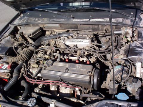 1986 Honda Accord - 2.0L of fury!